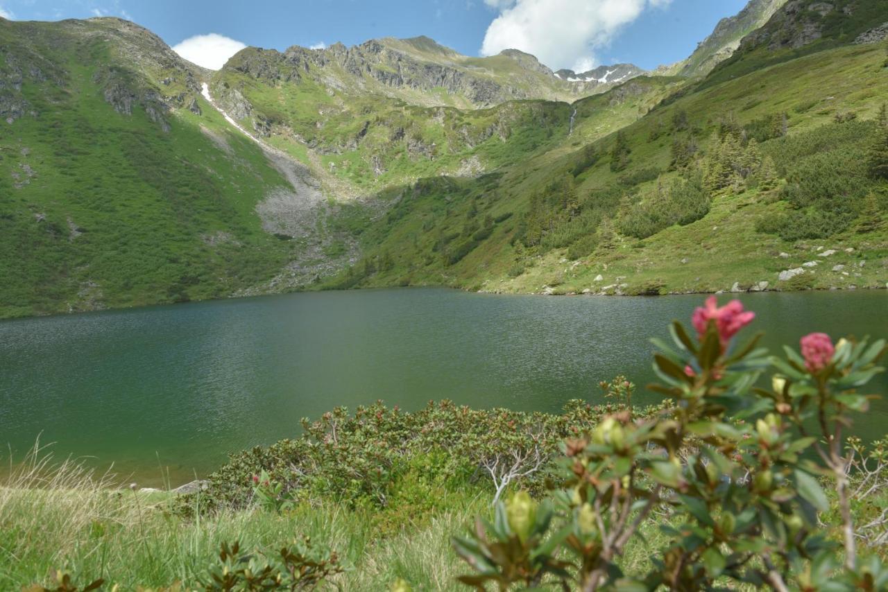Gasthof Hirschenwirt Schöder Dış mekan fotoğraf